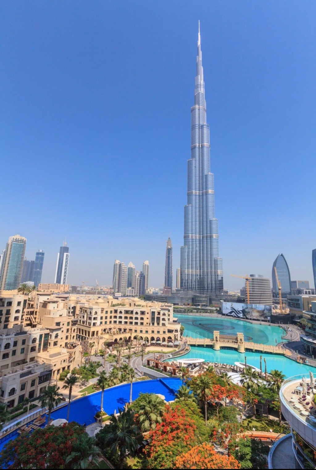 「どこもできない」と言われた仕事を、箱長は引き受けた。——世界へ届ける500の桐箱